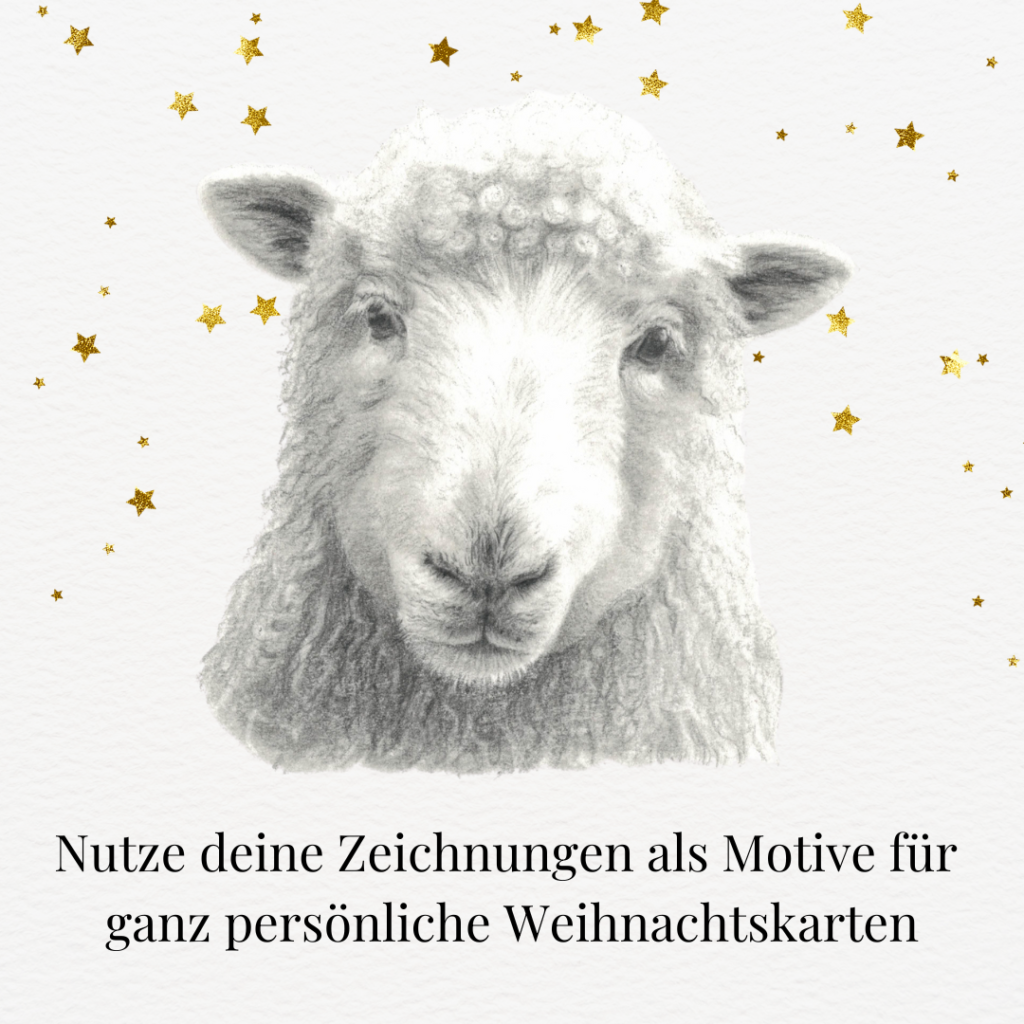 Zeichnung von einem Schaf als Weihnachtskarte