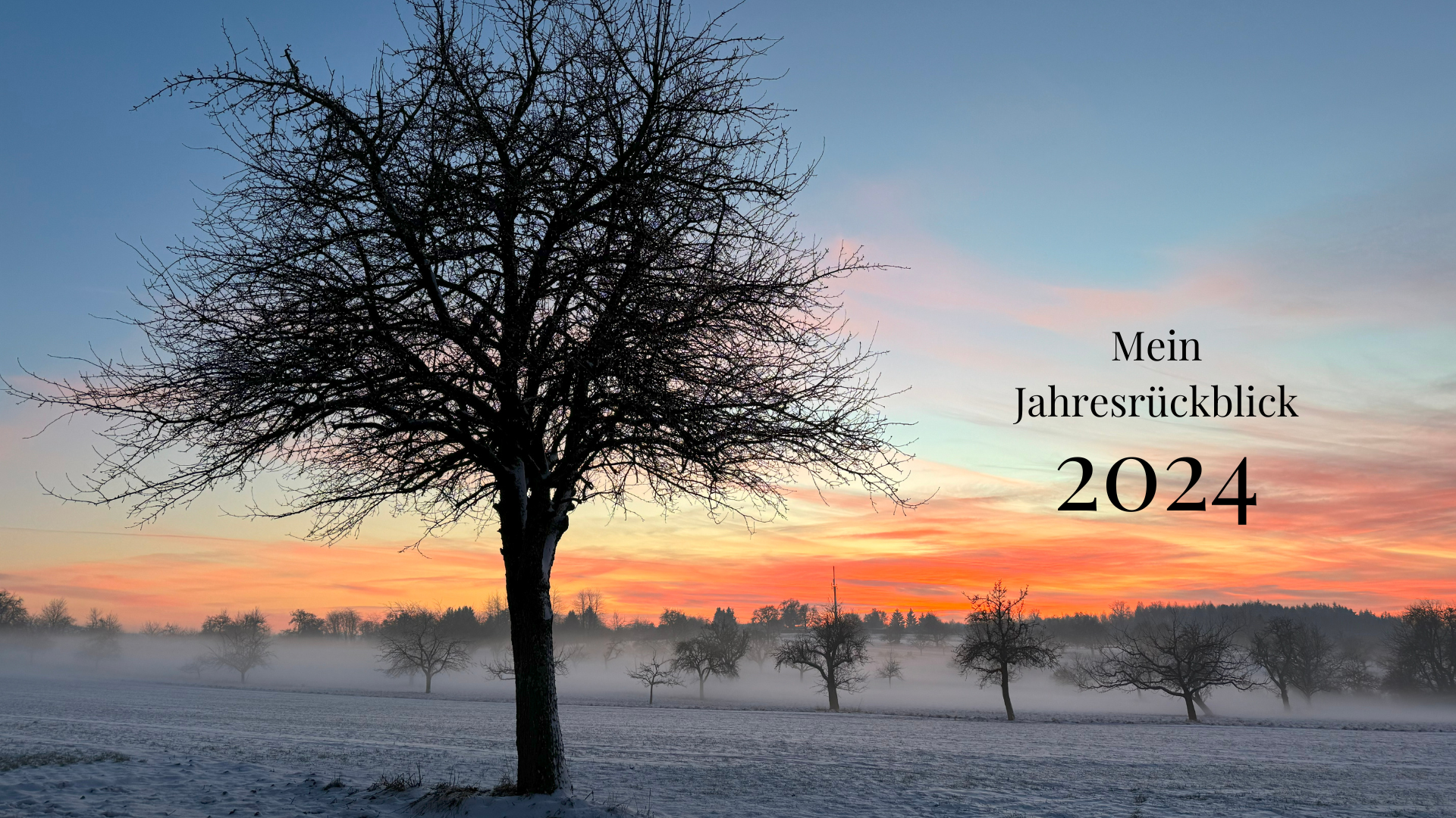 Kahle Bäume im Schnee mit Nebel im Sonnenuntergang. Schriftzug: Mein Jahresrückblick 2024.