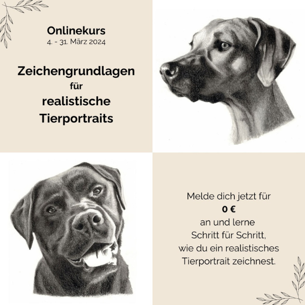 Anzeige zum Onlinekurs Zeichengrundlagen für realistische Tierportraits im März 2024